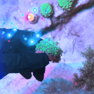 Coral Goniopora ''Green'' (Goniopora spp.)